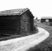 Motiv från Vik, Järvsö.