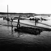 Timmerflottning på Marmen.