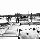 Timmerflottning på Marmen.