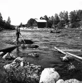 Lenninge. Flottning i Voxna älv.