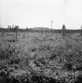 Trakten kring Byvallen ?