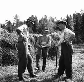 Åsbo, höbärgning.