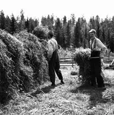 Åsbo, höbärgning.