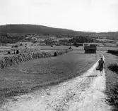 Myra. Byväg till Åsen.