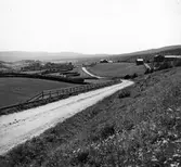 Väg vid Åsbo. Gården Ol-Mats uppe till höger i bild.