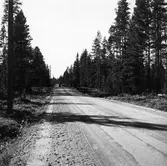 Vägen Laforsen - Kårböle.