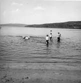 Orbaden vid Orsjön.