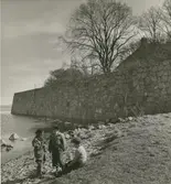 Bastionen Regeringen från Kattrumpans badplats.