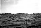 Kappsegling i Kungsör, 1921.
Fotograf E Sörman?