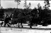 Ernst och Ester Hagman i släde efter häst.
Fotograf E Sörman.