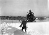 Åsmundshyttan. En snörik vinter i början på 30-talet. Snöskottning på hög nivå när Joel Hansson skottar ner drivorna från ett ladugårdstak. Bilden finns med i Torsåkers Fotohistoriska Sällskap. Bild 4:2.