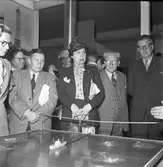 Gävleutställningen 1946
arrangerades 21 juni - 4 augusti. En utställning med anledning av Gävle stads 500-årsjubileum. På 350.000 kv.m. visade 530 utställare sina produkter. Utställningen besöktes av ca 760.000 personer.

Pressmän

