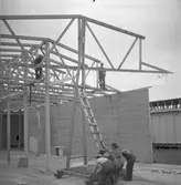 Gävleutställningen 1946
arrangerades 21 juni - 4 augusti. En utställning med anledning av Gävle stads 500-årsjubileum. På 350.000 kv.m. visade 530 utställare sina produkter. Utställningen besöktes av ca 760.000 personer.

Bygget
