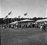 Nöjesavdelning på Folkparken. Gävleutställningen 1946

