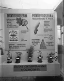 Gävleutställningen 1946

Statens Växtskyddsanstalt

