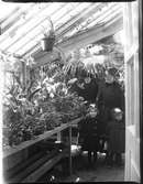 Elna Brundin till höger med sina döttrar Ingrid och Karin. Bakom Elnas mor Anna Larsdotter Olsson. Dom är i ett växthus, antagligen för att köpa en palm, som var väldigt vanliga i hemmen på den tiden.