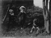 Elnas döttrar Karin och Ingrid Brundin, född 1915 respektive 1913, hälsar på i Hemlingby och deras hund.