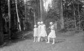 Ingrid, Karin och Eva Brundin samt en faster till dom som heter Kerstin på promenad i lingonskogen i Lingbo i södra Hälsingland.