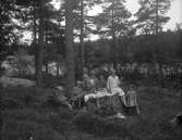 En utflykt i Lingboskogarna med chauffören Anger, som har Sören Brundin i knät. Hanna Olsson och Elna Brundin i vit klänning längst till höger.