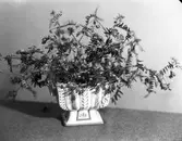 Jardiniär B-modell.