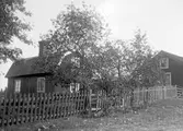 Okänd stuga med trädgård.                     Tidsomfånget är 1900 - 1940