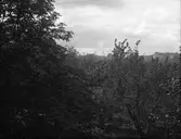 Vy över taken. Tidsomfånget är 1900 - 1940