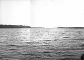 Dammsjön. Tidsomfånget är 1900 - 1940