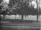 Park. Tidsomfånget är 1900 - 1940