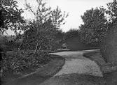 Trädgården. Tidsomfånget är 1900 - 1940