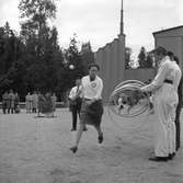 Hundutställning i Folkparken.
27 september 1955.