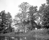 Stora byggningen från lekstugan. Den 20 maj 1906.