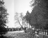 Stadsträdgården, bron vid Elektricitetsverket. Den 12 juni 1906.