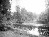 Vy över parken. År 1906.