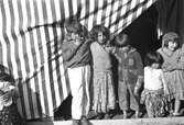 Fem barn, pojkar och flockor, står framför en randig tältduk. De håller varandra om axlarna. En av pojkarna har en cigarrett i munnen. Familjen Taikons läger i Johanneshov, södra Stockholm.