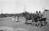 Bild av två män i vagn spänd bakom häst i familjen Taikons läger vid Johanneshov, södra Stockholm. I bakgrunden en kvinna, en man och två barn.
