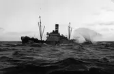 S/S Dania i storm fotad av fiskaren Olle Nordin i Bönan utanför Gävle