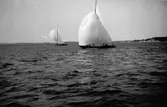 Segelbåtar.