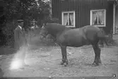 Man med häst.