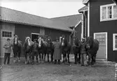 Män med arbetshästar. Erik Nilsson, Vallsta, August Nilsson, Wij, Gunnar Rehn, Wij (ägare) och Per Axman.
