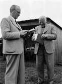 Hästpremiering på Kobacken, Kungsängen, Uppsala juli 1942.  Godsägare Georg Holmberg och ingenjör Ragnar Claeson diskuterar protokollet