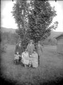 Gruppfoto vid ett träd , från början av 1900-talet.