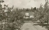 Prästgård