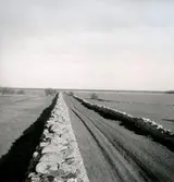 Hertig Karl Gustaf, senare Karl X Gustaf hade Öland som förläning när han 1653 lät bygga denna mur. Den drygt 2 meter höga muren i Öländsk kalksten sträcker sig rakt över hela ön, från öst till väst.