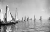 Gävle Segelsällskap. År 1925. Norrlandsregattan i Sundsvallsfjärden, bl.a. runt Alnön.

