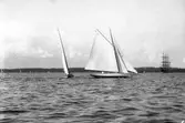 Gävle Segelsällskap. År 1925. Norrlandsregattan i Sundsvallsfjärden, bl.a. runt Alnön.
