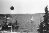 Gävle Segelsällskap. År 1925. Norrlandsregattan i Sundsvallsfjärden, bl.a. runt Alnön. Alnö med Sundsvalls Segelsällskaps klubbhus Vindhem. Ångbåtarna 