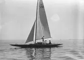 Gävle Segelsällskap. År 1925. Norrlandsregattan i Sundsvallsfjärden, bl.a. runt Alnön.