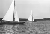 Gävle Segelsällskap. År 1925. Norrlandsregattan i Sundsvallsfjärden, bl.a. runt Alnön.