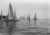 Gävle Segelsällskap. År 1925. Norrlandsregattan i Sundsvallsfjärden, bl.a. runt Alnön.
