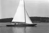 Gävle Segelsällskap. År 1925. Norrlandsregattan i Sundsvallsfjärden, bl.a. runt Alnön.